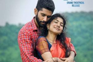 Love Story Box Office Collection | All Language | Day Wise | Worldwide