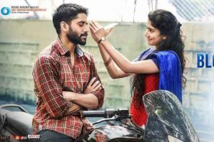 Telugu Movie 'Love Story' Makes A BIG Punch At The USA Box Office