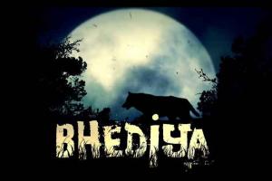 Varun Dhawan And Kriti Sanon's 'Bhediya' Release Date Postponed To Next Year-End!