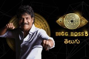 TRPs look good for 'Bigg Boss Telugu 5' grand finale