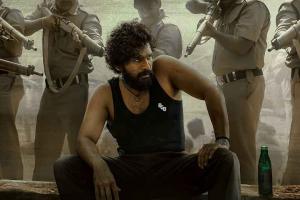 'Pushpa - The Rise' Worldwide Box Office Overtakes 'Tanhaji - The Unsung Warrior', According To Producers