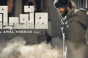 Bheeshma Parvam Box Office Collection | All Language | Day Wise | Worldwide