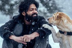 Rakshit Shetty's '777 Charlie' Scores A Blockbuster Opening Weekend