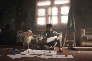 Blockbuster '777 Charlie' Ends Opening Week With 50 Crores At The Worldwide Box Office