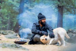 Rakshit Shetty's '777 Charlie' Crosses 50 Crores Gross At Karnataka Box Office