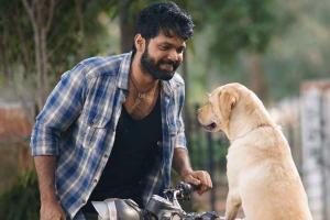 '777 Charlie' Becomes The Highest-Grossing Film of Rakshit Shetty