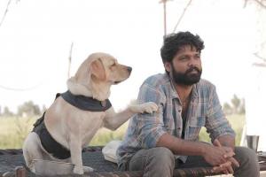 Rakshit Shetty's Blockbuster '777 Charlie' Scored Excellent 3rd Weekend; Nears 100 Crores At The WW Box Office