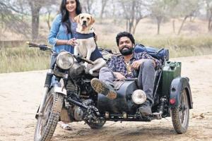 'Charlie 777' Makers To Share Profit Among The Team Members of The Film and NGOs Across The Country