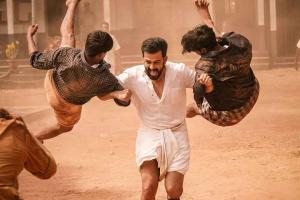 Kaduva Box Office Collection | All Language | Day Wise | Worldwide
