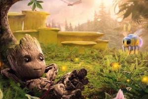 Disney Plus' 'I Am Groot' First Critics' Reactions Are Out Online
