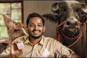 Palthu Janwar Box Office Collection | All Language | Day Wise | Worldwide