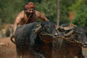 Hombale Films To Hold Premiere Of Rishab Shetty's 'Kantara' In Multiple Cities Outside Karnataka