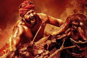 Box Office: Rishab Shetty's 'Kantara' Roars Past 100 Crores Worldwide