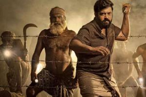 Padavettu Box Office Collection | All Language | Day Wise | Worldwide