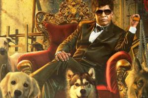 Naai Sekar Returns Box Office Collection | All Language | Day Wise | Worldwide