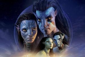 Avatar: The Way of Water China Box Office Collection | Day Wise | Worldwide