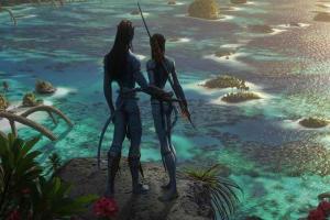 Avatar: The Way of Water To Get The Widest Release For A Hollywood Movie In India