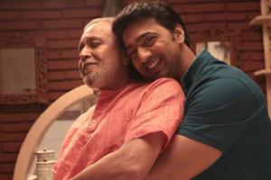 Projapati Box Office Collection | All Language | Day Wise | Worldwide
