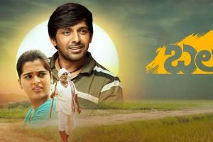 Balagam Box Office Collection | All Language | Day Wise | Worldwide