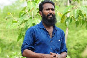 One More Film Set Against The Backdrop of KGF Is In The Works